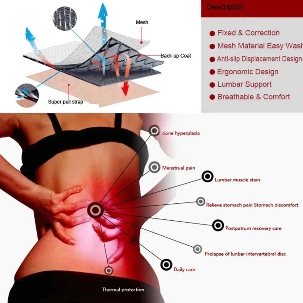 Adjustable Magnetic Therapy Back Support Belt — Lumbar Brace (M–4XL)